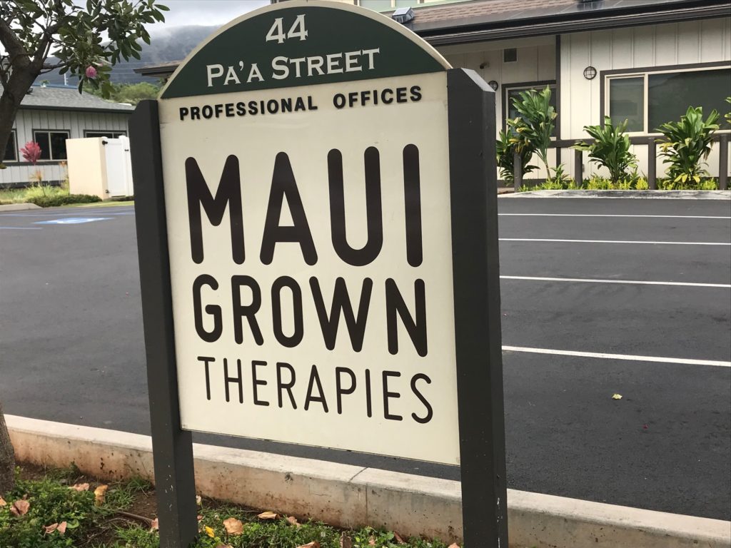 hawaii pic 2 311000