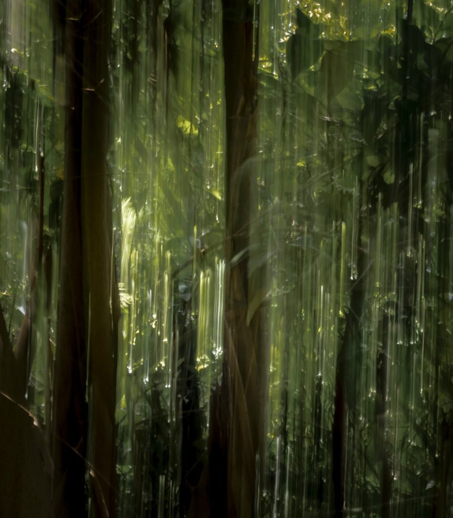 Los Angeles Doctors Symphony Orchestra “NATURE’S IDYLLS”