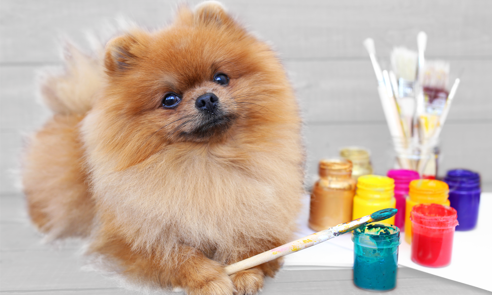 Breast Cancer Awareness Month, Yappy Hour and More — Here's What's Popping Up! 40 unnamed 1 190133