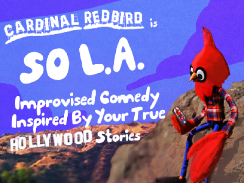 Search History & Cardinal Redbird (Improv Comedy)