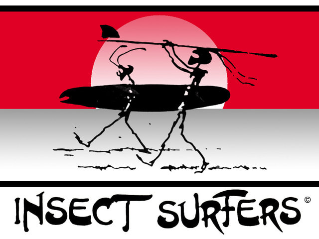 Insect Surfers, Mecolodiacs