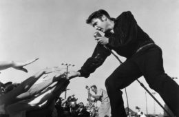 elvis 114483