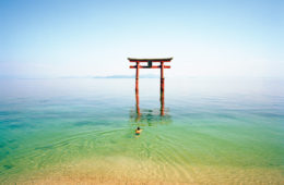 05 upton japanalia swimmingshaman 830910