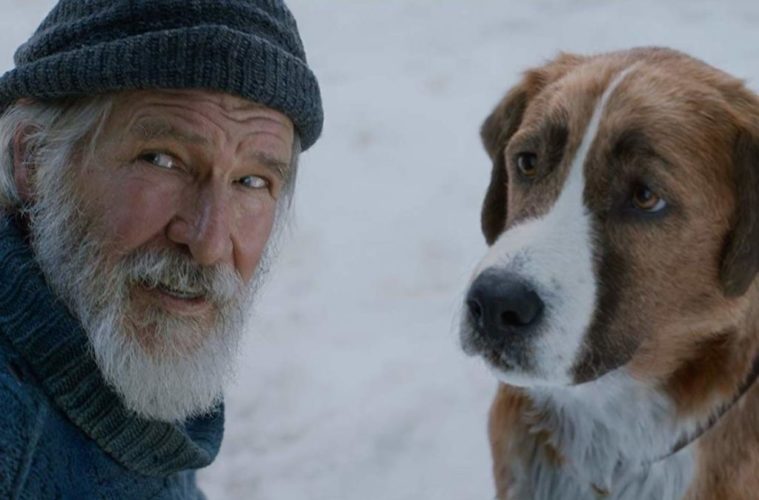 call of the wild fox 921476 1024x683 300848