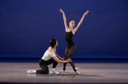 lab stravinsky1 707381