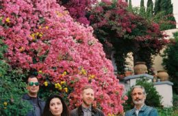 secret flowers photo by jane bruce 173518