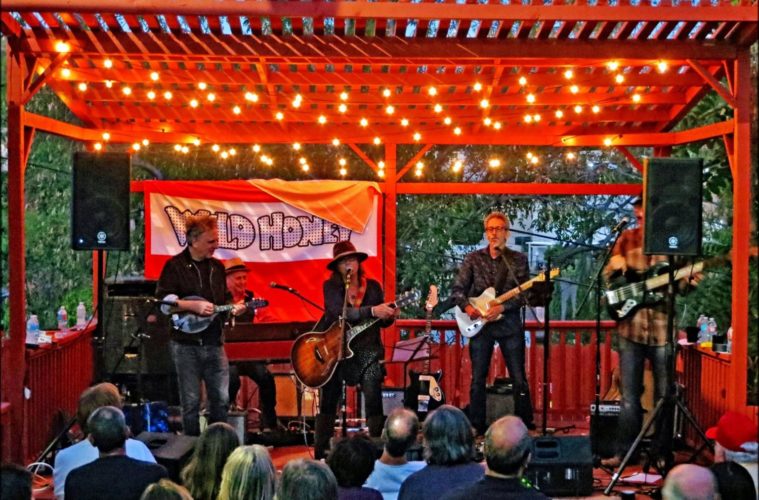 A Lovin' Spoonful of Wild Honey 38 susan cowsill and band backyard show 745505