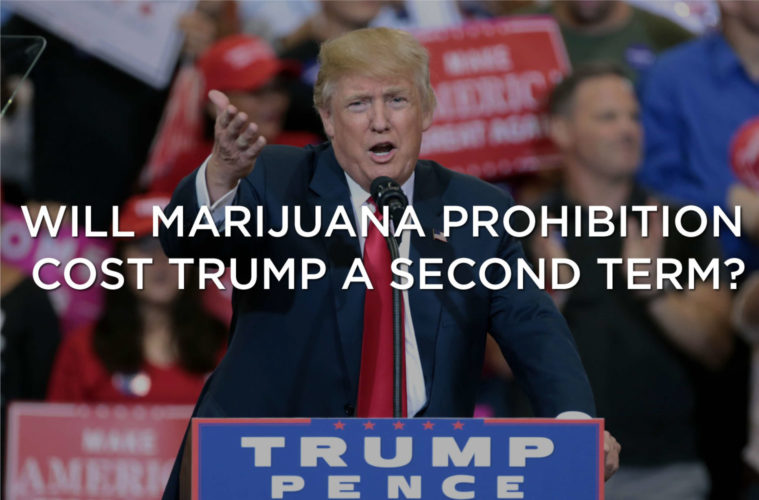 How Marijuana Prohibition May Cost Trump A Second Term - Will Biden’s Prohibitionist Past Catch Up With Him? 38 01 monday image 909138