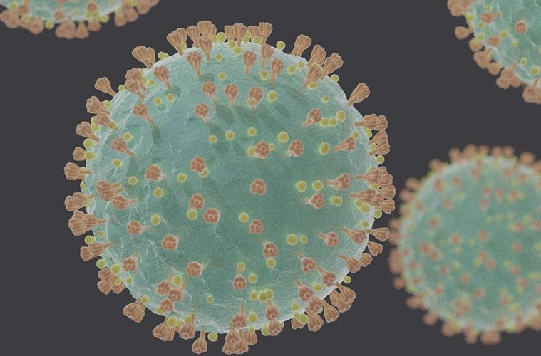 Experts Warn of COVID-19 CBD Scammers 38 1024px coronavirus sars cov 2 wikicommons 502693