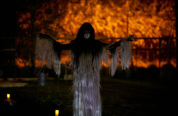 sweet land dress courtesy of the industry 900720