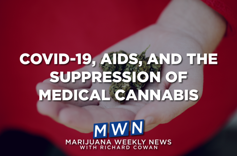 COVID-19, AIDS and the Suppression of Medical Cannabis 38 01 monday image 389822