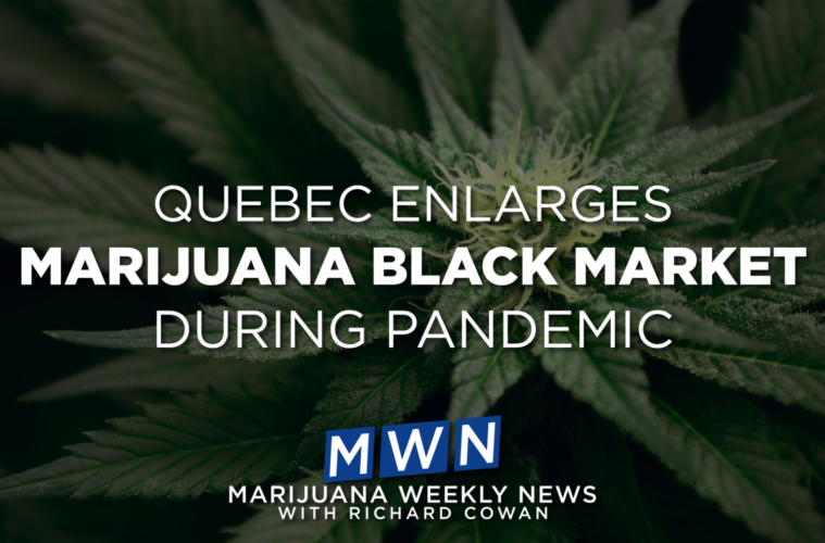 Quebec Enlarges Marijuana Black Market During Pandemic 38 01 monday image 902418
