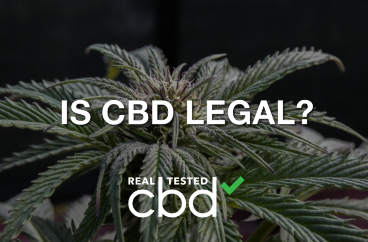 Is CBD Legal in the U.S., U.K., Canada, EU and Australia? 38 07 Sunday Image