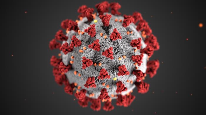 Updated COVID-19 Case and Death Numbers For Los Angeles County 38 coronavirus cdc photo 206752