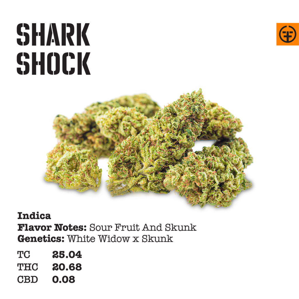 ff sales quarter shark shock 397943