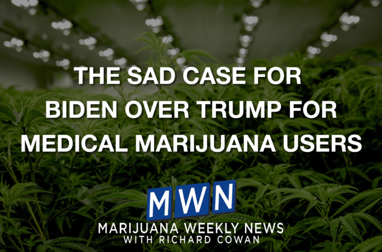 The Sad Case For Biden Over Trump For Medical Marijuana Users 38 01 Monday Article MWN