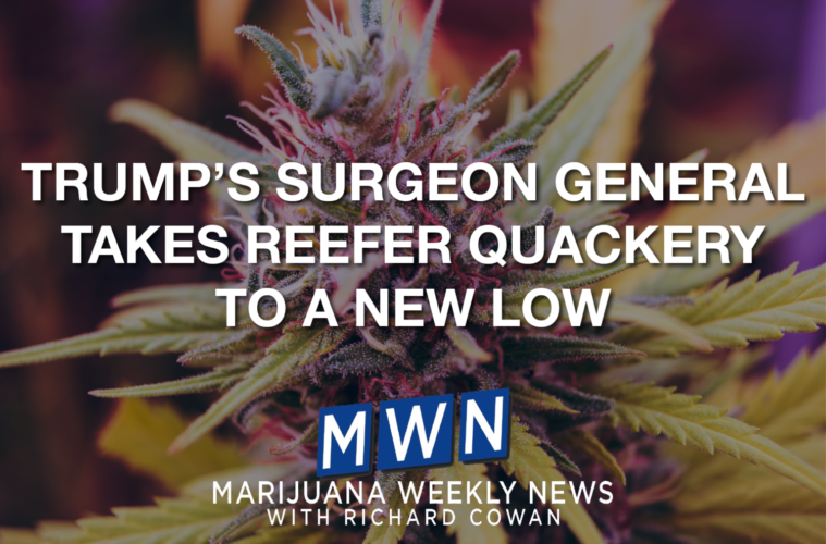 Trump’s Surgeon General Takes Reefer Quackery to a New Low – Protecting New Mothers from Their Protectors 38 01 Monday Image