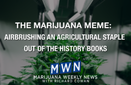 01 Monday Image MWN 1 1