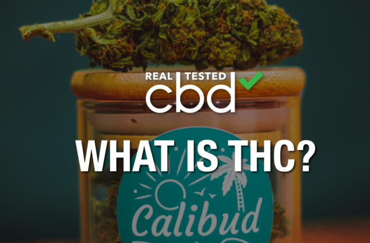 07 Sunday Image RTC Real Tested CBD