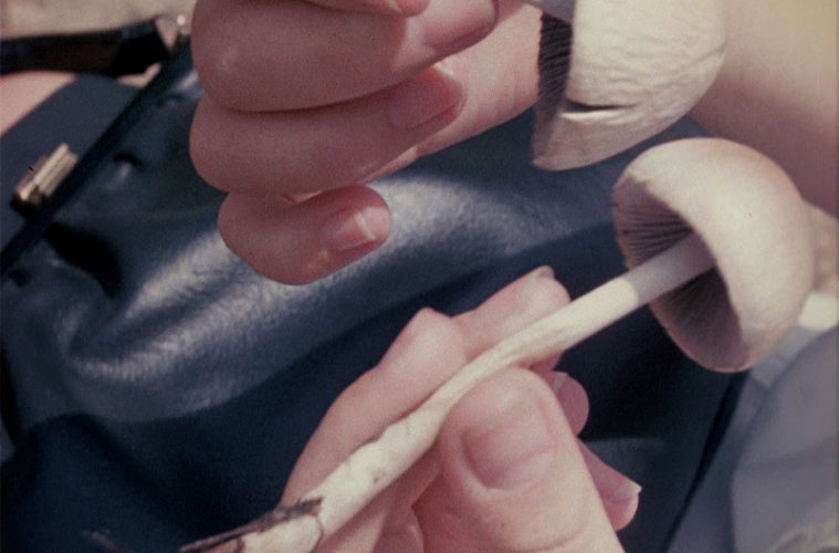 Bruce Conner LOOKING FOR MUSHROOMS 1959–671996 16mm to 35mm blow up color sound 14.5min