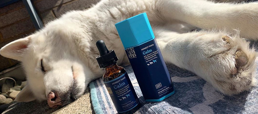 CBD for Dogs The 1 Rated CBD Oil for Dogs