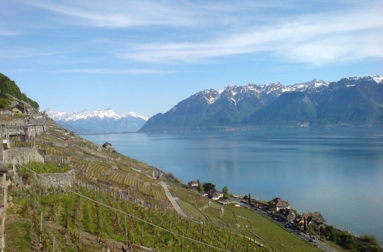 The Global Cannabis Roundup 38 Lake Geneva Zacharie Grossen
