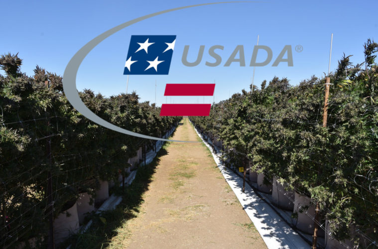 USADAConnectedFrm