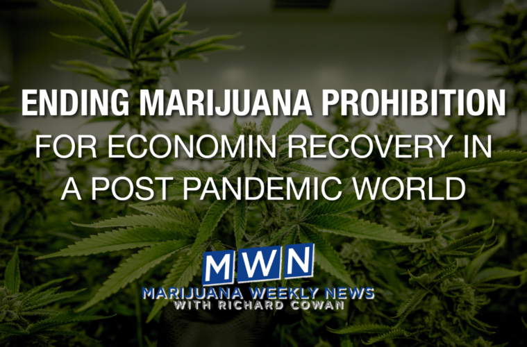 Trump's Ban On CBD for the Military Echoes Drug War, Anti-Hemp Oil Hysteria 38 01 Monday Image MWN