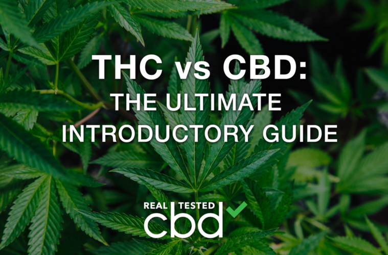 CBD vs THC: The Ultimate Introductory Guide 38 07 Sunday Image RTC