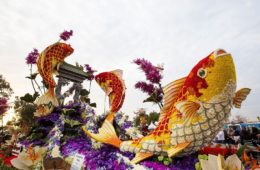 9019364 20180101 rose parade float viewing 0005