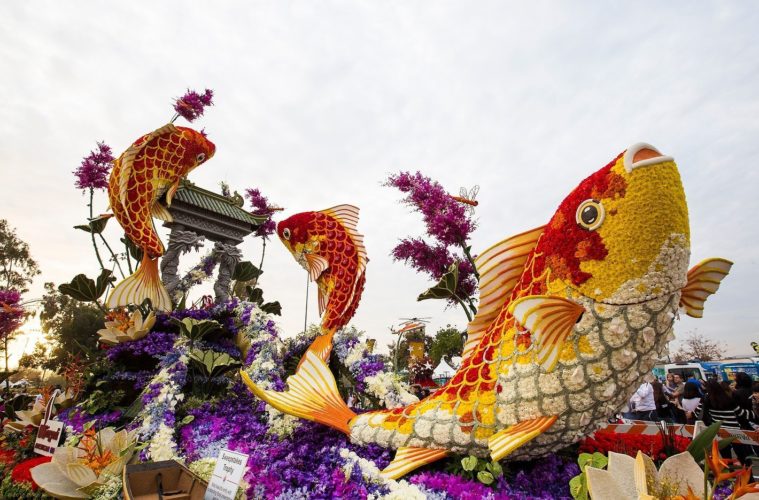 Rose Parade Canceled for First Time Since WWII 38 9019364 20180101 rose parade float viewing 0005