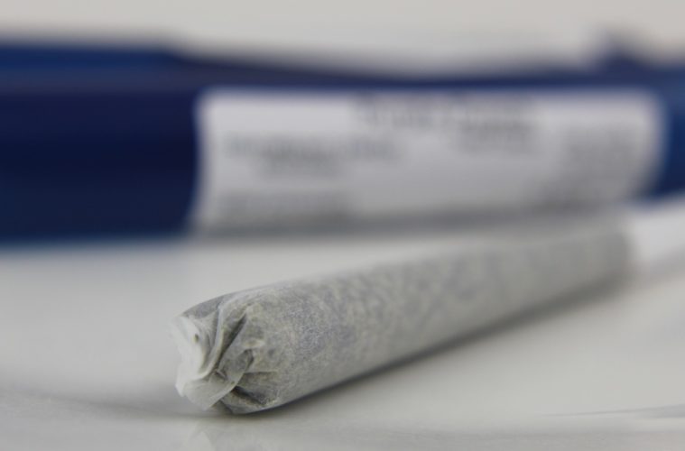 Preroll hayleyzacha Pixabay