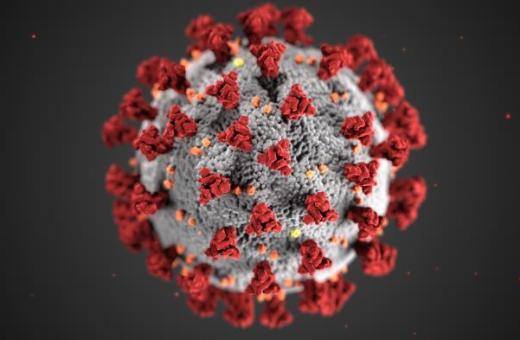 California Now Leads U.S. In COVID-19 Cases 38 coronavirus cdc photo 206752