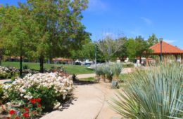 poncitlan square palmdale