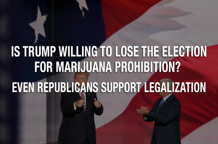 Is Trump Willing To Lose the Election for Marijuana Prohibition? Even Republicans Support Legalization 38 01 Monday Imgage Cowan MWN w Richard Cowan