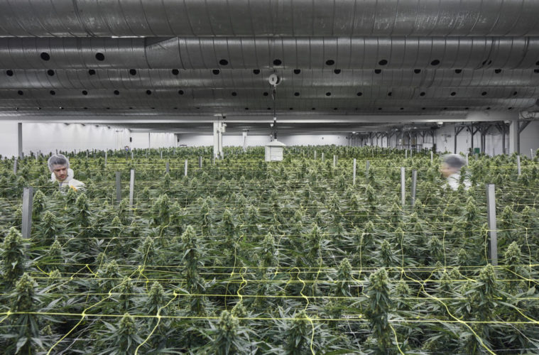 07 Canopy Growth 04 06 2019