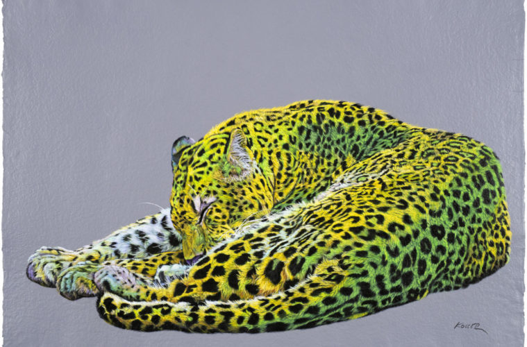 201906 Leopard in Yellow Green ap 100x120cmM ivbxjj
