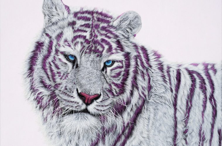 Arts at Home (and in the Car): August 13-16 38 201907 Tiger with Magenta Stripes ac 91x122cmM qmlmbk 1