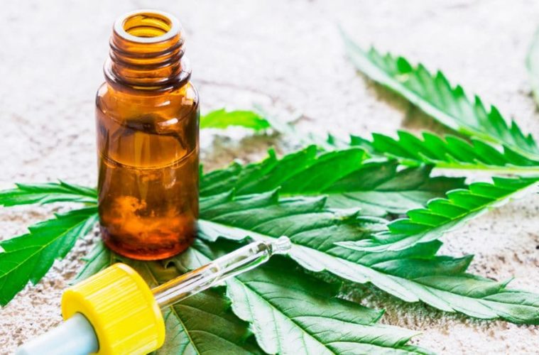 3 Main Differences Between CBD Oil And Hemp Oil 38 5 differences between cbd and hemp 1068x580 1