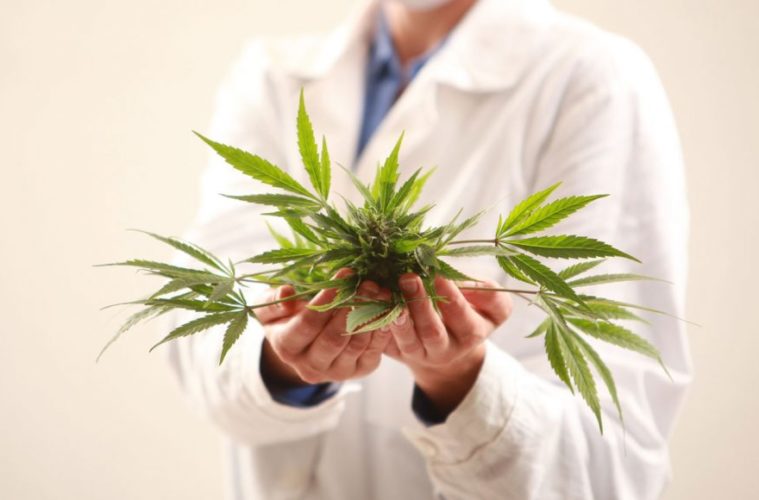 5 ways medical marijuana can help you deal with pain 1068x580 1