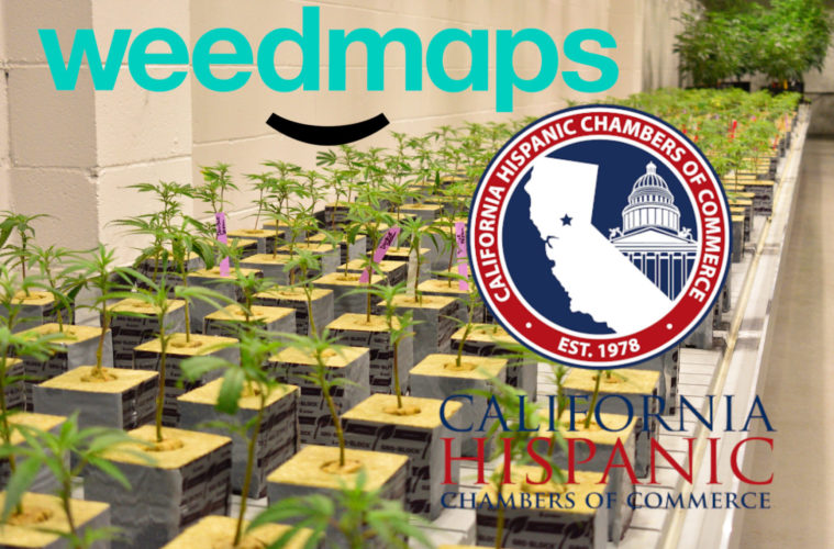 New Study: CA Cities Blocking Pot Missing Out on Big Revenue 38 WEEDMAPSxLatinoChamberStudy