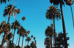 californias 7 toughest and worst cannabis rules