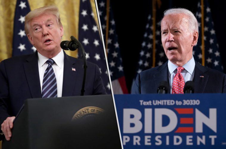 poll readers believe trump and biden equally possible to legalize marijuana