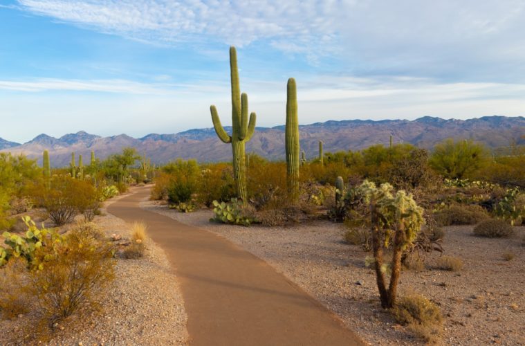 possibility of legal marijuana already upsetting arizona lawmakers