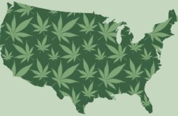 which state will legalize marijuana in 2020 kentucky ohio or indiana 1
