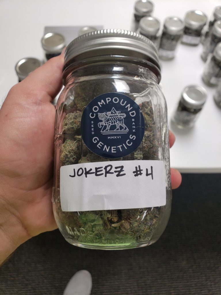 The Pandemic Picks: The Best Cannabis of Lockdown's Six-Month Anniversary 43 20200814 141243