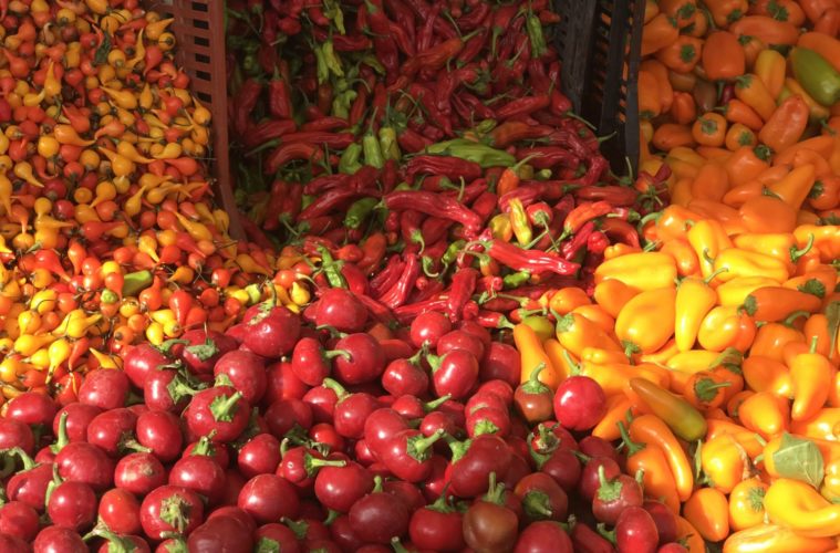 Farmers Market Icon Sid Weiser Passes on Yom Kippur 38 IMG 6297