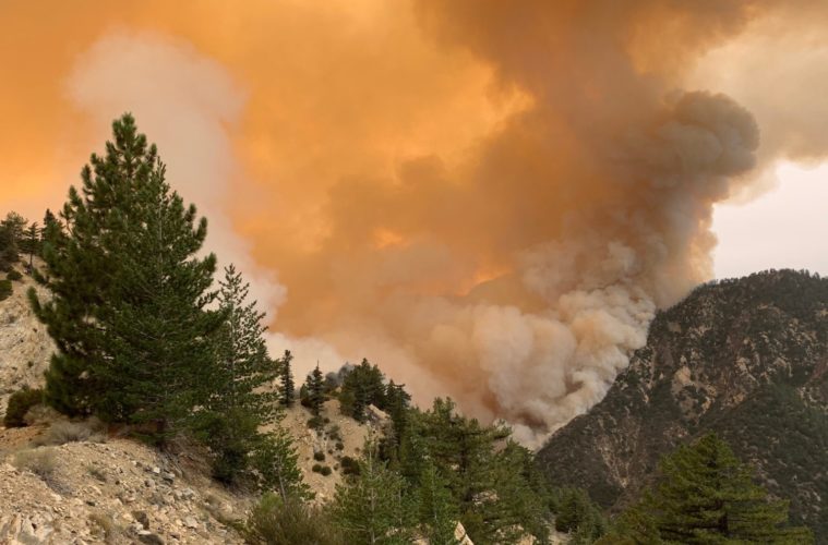 All California National Forests To Close As Fire Season Intensifies 38 bobcat fire ted dunfee