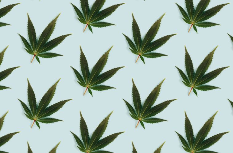 dea doesnt want you to worry about its new hemp rule dont take the bait 1