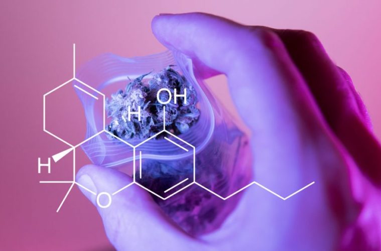 Cannabis 101: Why Doesn’t CBD Get You Stoned? 38 why isnt cbd intoxicating 985x591 985x580 1